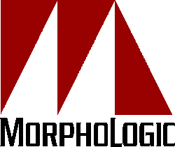  Morphologic